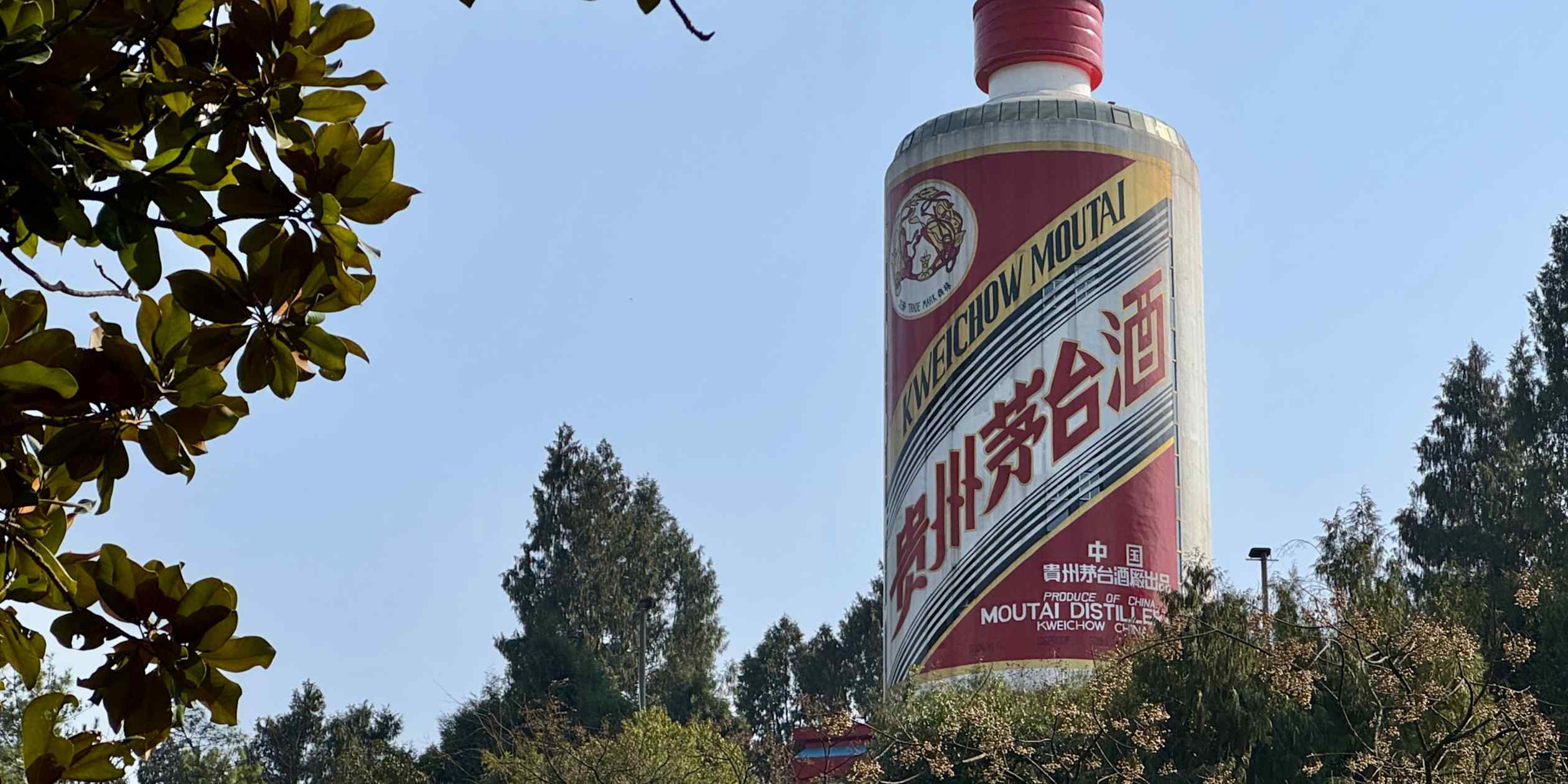 Kweichow Moutai shares plunge 43% from record highs