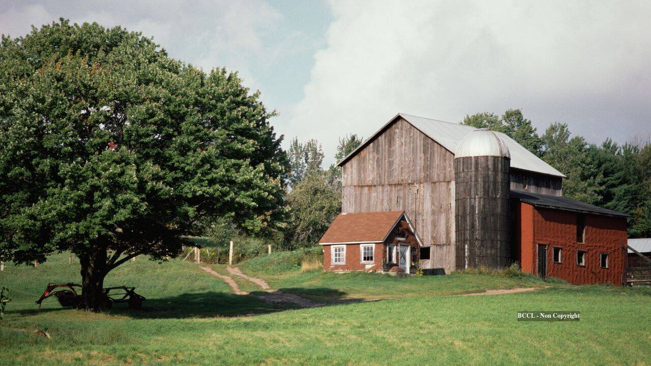 Farm's 72-year healing journey culminates in permanent conservation status