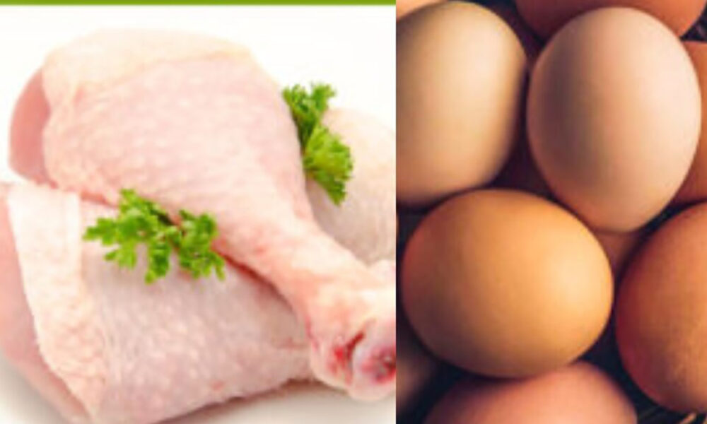 Festive season may see surge in chicken and egg prices