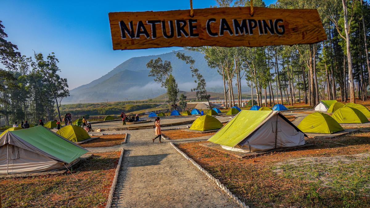 Araku Pinery expands offerings with pottery, camping ahead of peak season