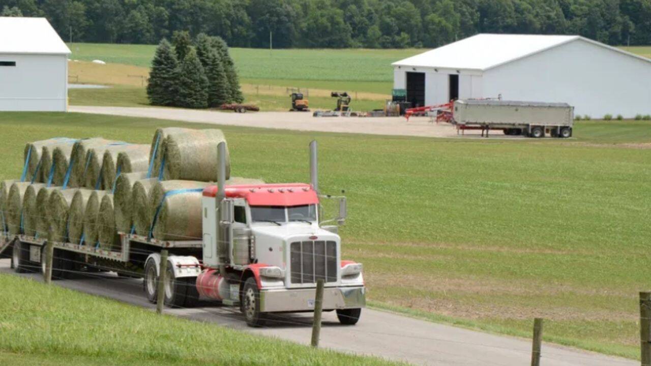 Ohio lawyer's secret land purchase blossoms into thriving 500-acre farm