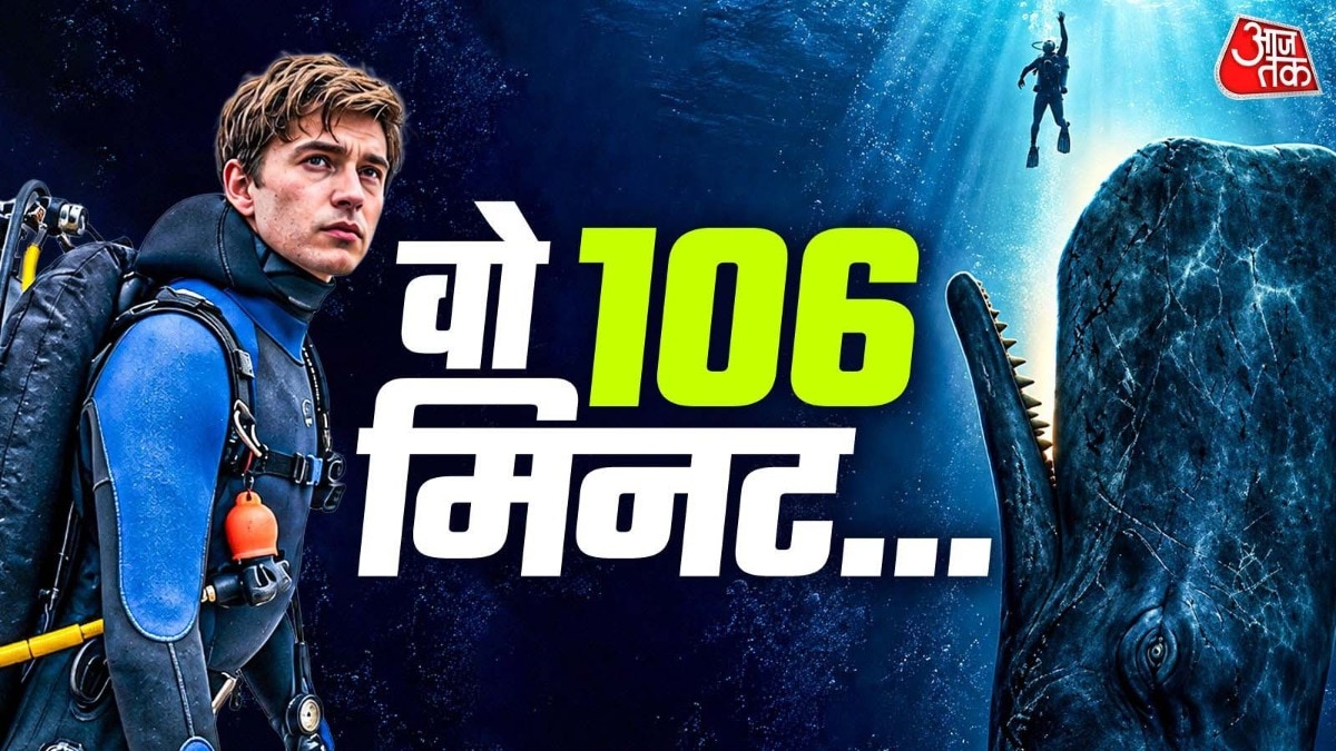 व्हेलफॉल: समुद्र की गहराई में जीवन और मृत्यु की कहानी