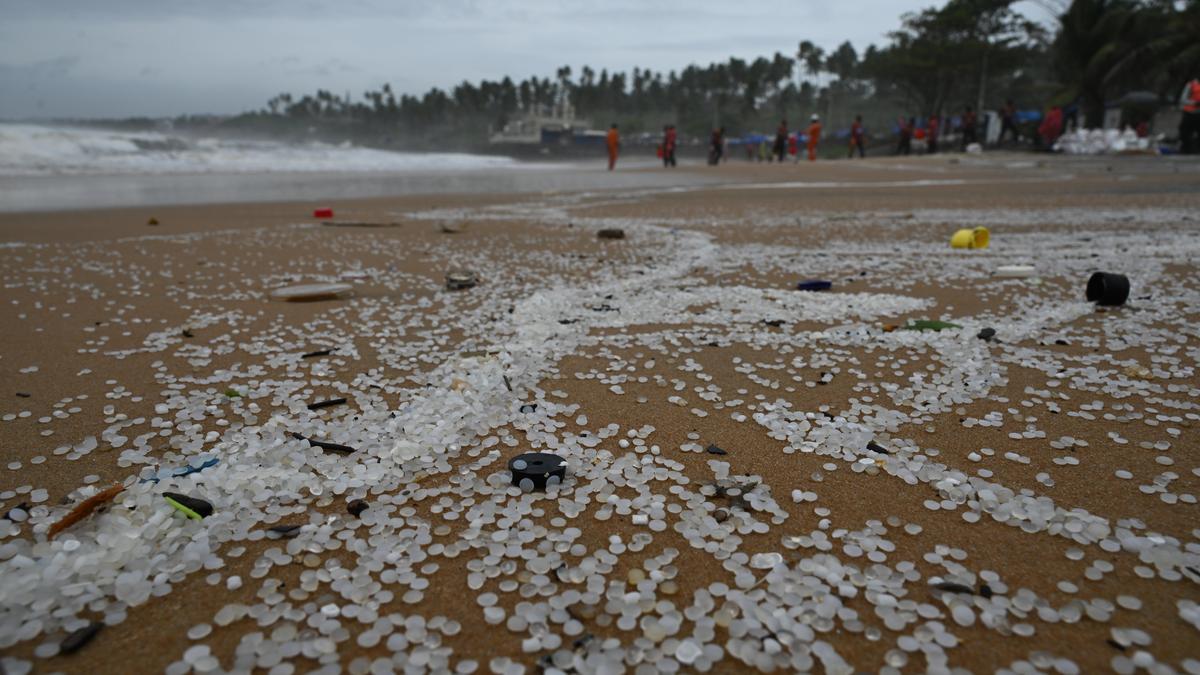 Shipwreck study reveals ongoing plastic pollution threat to Indian waters