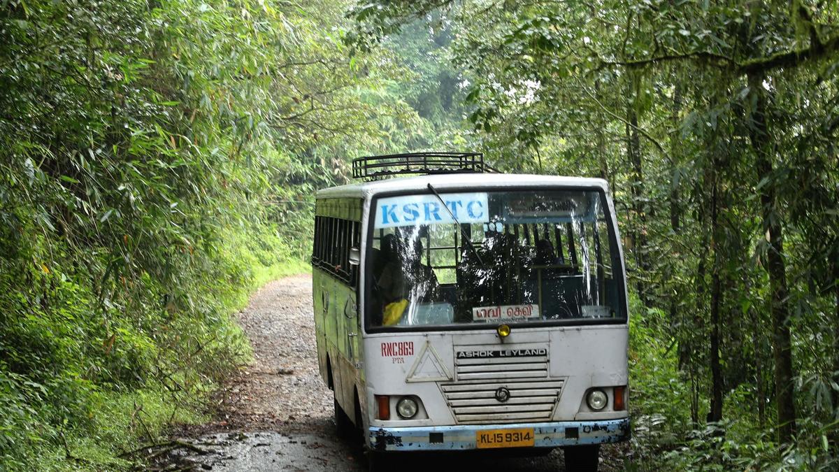 केरल में बड़ी मधुमक्खियों के झुंड से KSRTC बस पर हमला, 17 घायल