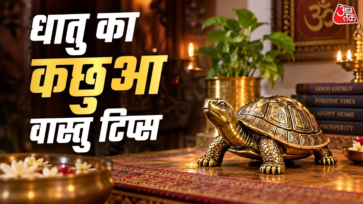 Vastu experts warn on metal tortoise placement for prosperity