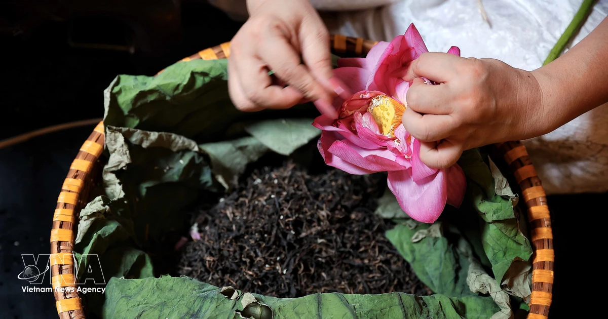 Hanoi launches digital beverage tourism map ahead of 2026 festival