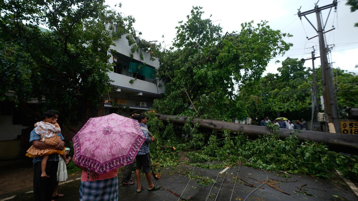 Andhra Pradesh CM seeks Centre's aid for cyclone recovery efforts