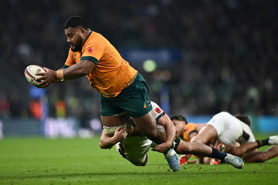 Wallabies seek major test as unbeaten streak faces Springboks