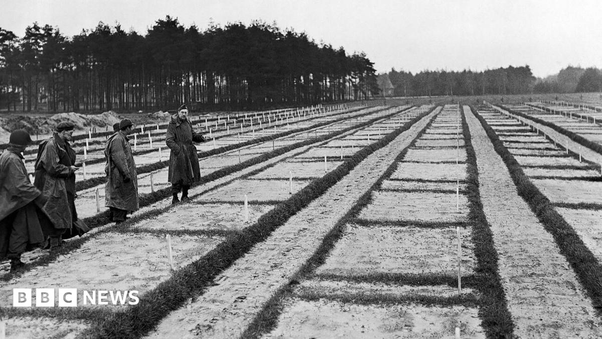 German prosecutors investigate 105-year-old over Nazi camp deaths