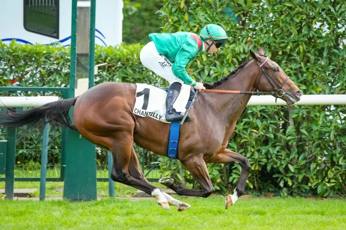 French racehorse Rayevka seeks Group 1 glory at York