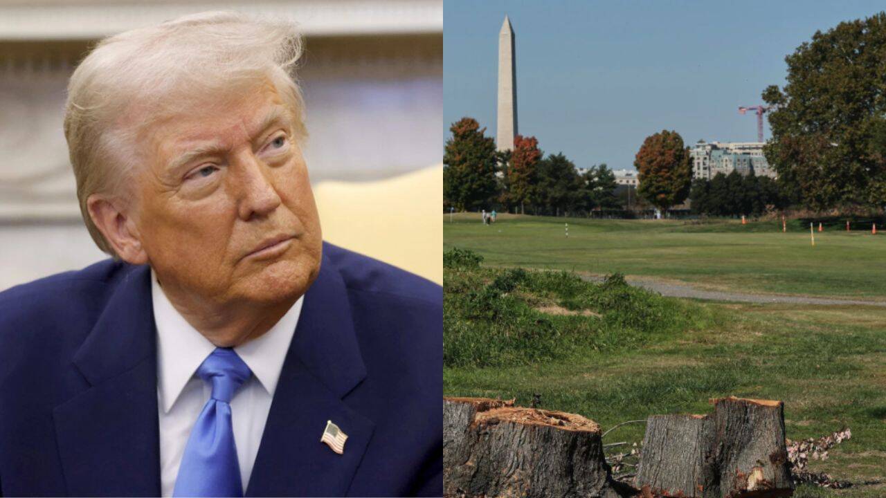 Trump vows legal fight after judge halts tree removal at Washington golf course