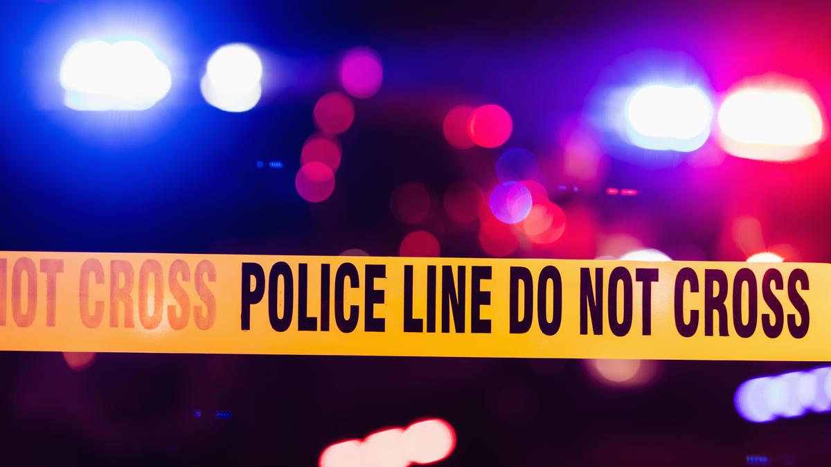 Four temple devotees killed crossing highway in Andhra Pradesh