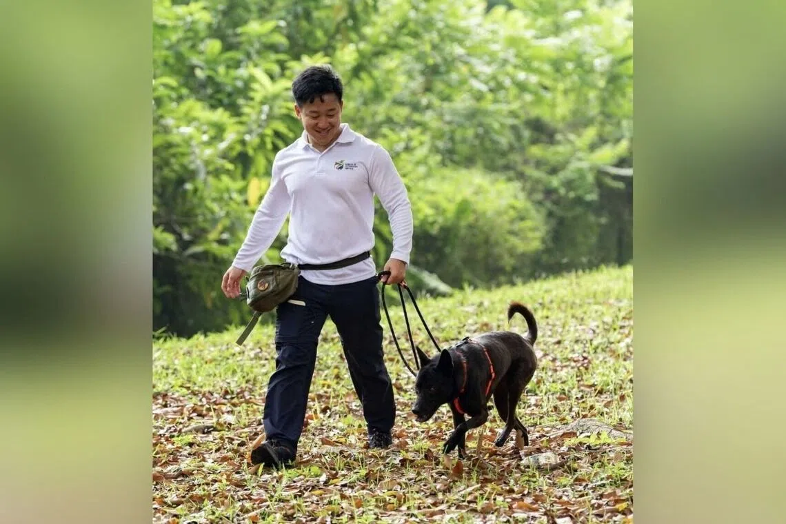 Animal Volunteers Singapore launches first CBD pet adoption drive