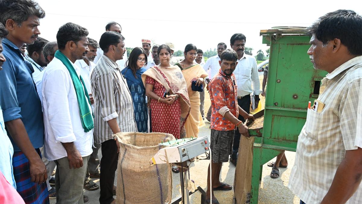 Tamil Nadu tightens checks on paddy trade amid fraud allegations