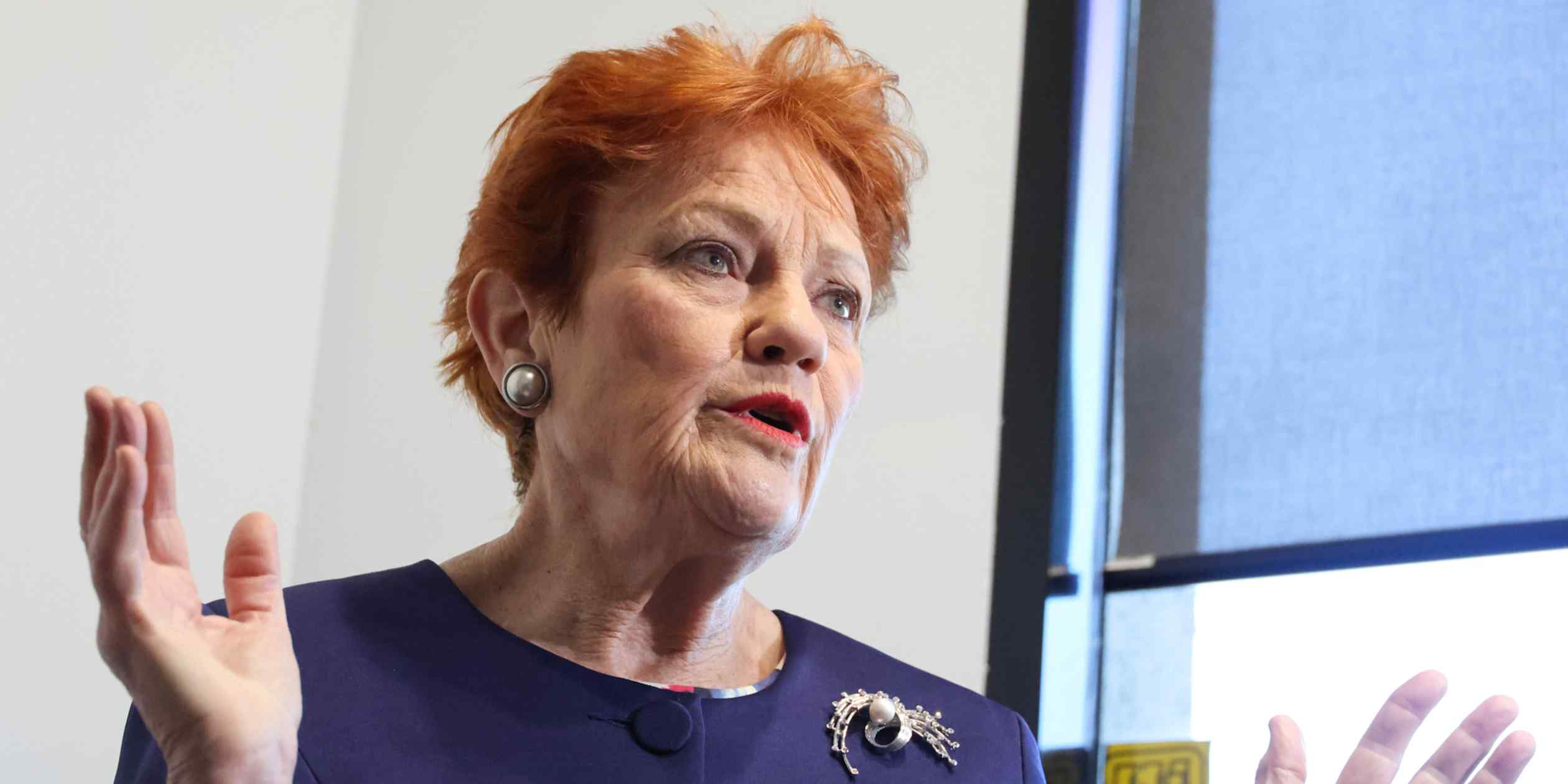 Australia's One Nation party calls for sharp cut to immigration levels