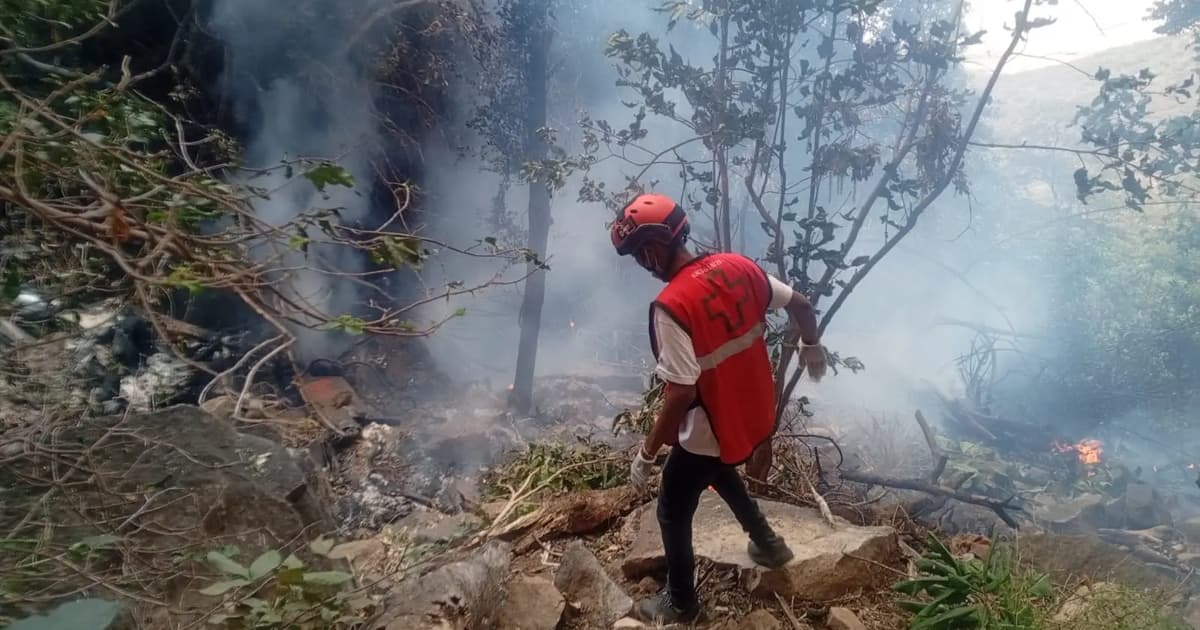 Ketua Perisikan Ecuador dan Lima Warga Amerika Tewas dalam Nahas Helikopter Kenya