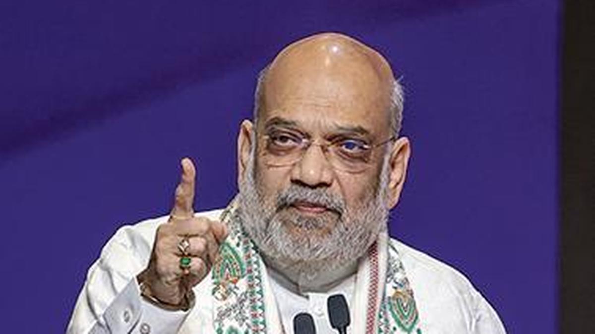 High-Level Panel's Demographic Survey Raises Questions Over Data Collection Scope