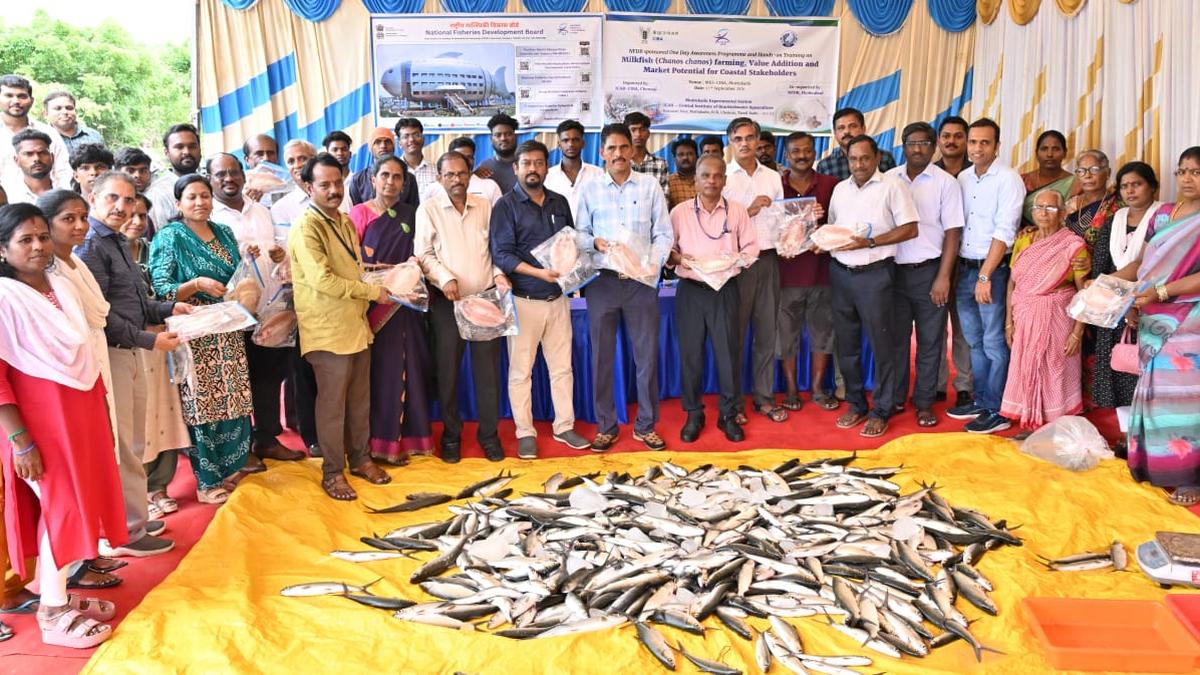 ICAR-CIBA develops deboning technology to boost milkfish consumption