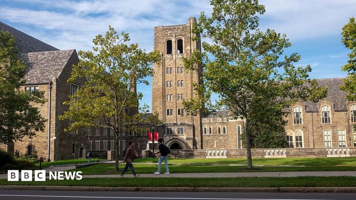 Cornell rape accuser faces online harassment campaign, lawyer says