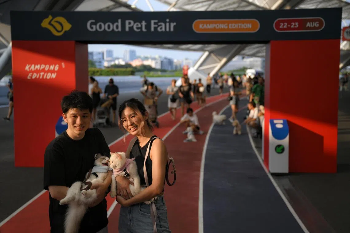 Straits Times launches September activity page with moon maze puzzle