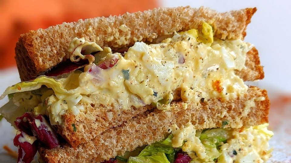 Gurgaon restaurant apologizes after live insect found in sandwich