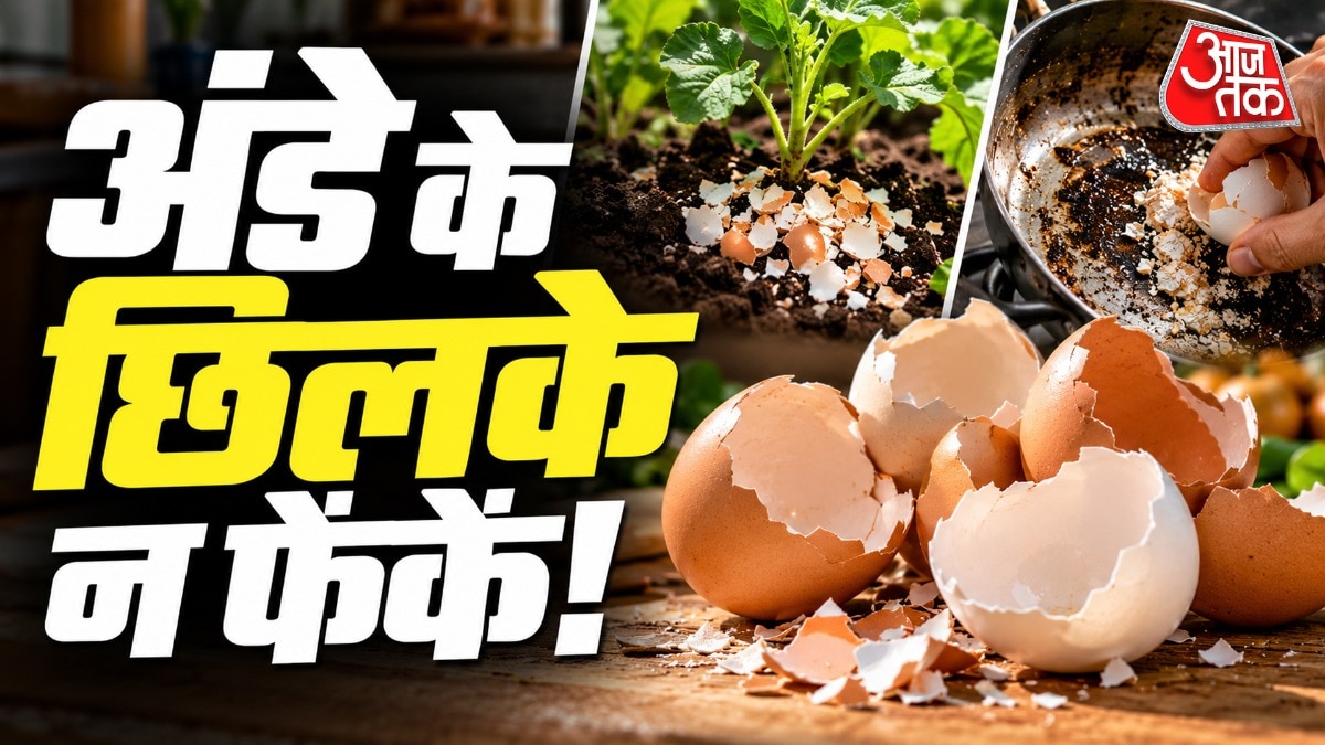 Eggshells: Kitchen Waste Transformed Into Household Treasure
