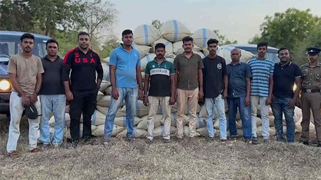 Large cannabis haul seized in Monaragala drug operation