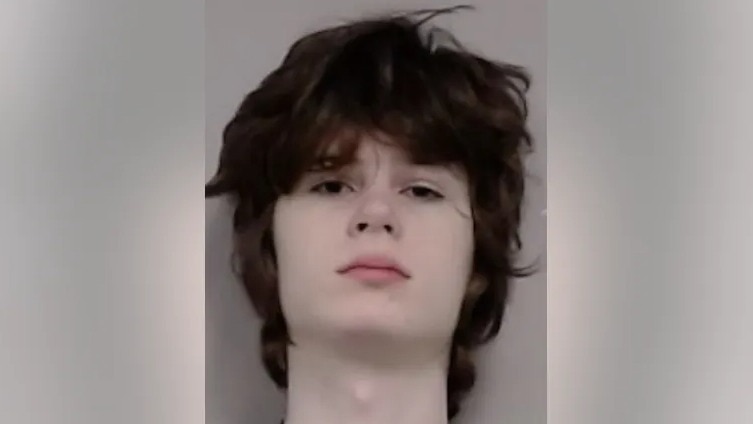 US teenager arrested over alleged Hindu temple shooting plot in Illinois