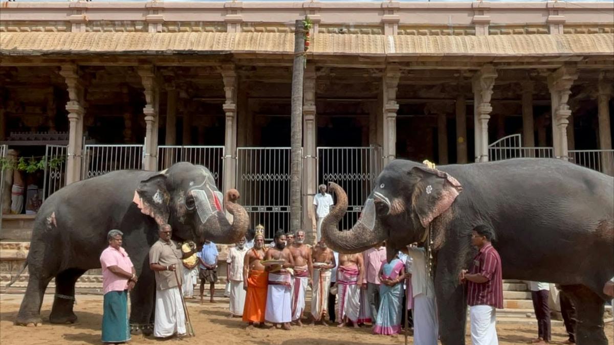 Srirangam temple to kick off Vaikunta Ekadasi festivities December 9