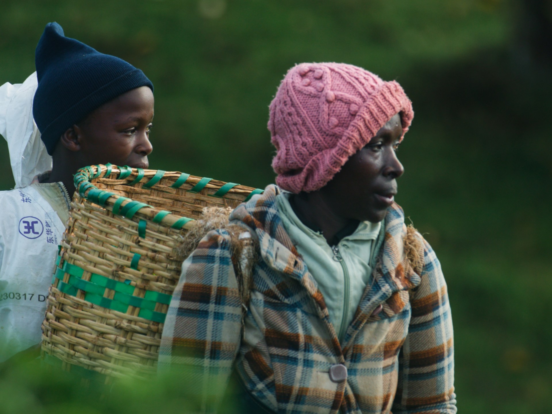 Kenyan filmmaker examines legacy of colonial tea industry
