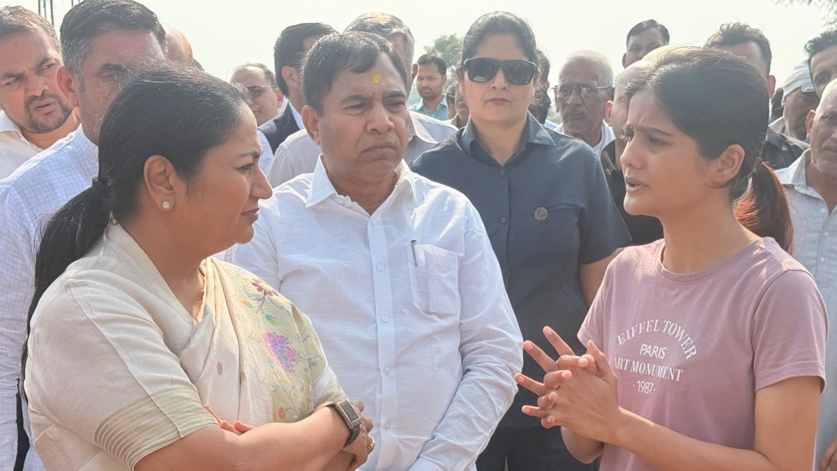 Delhi Animal Shelter Demolished; Activist's Rescue Efforts Continue