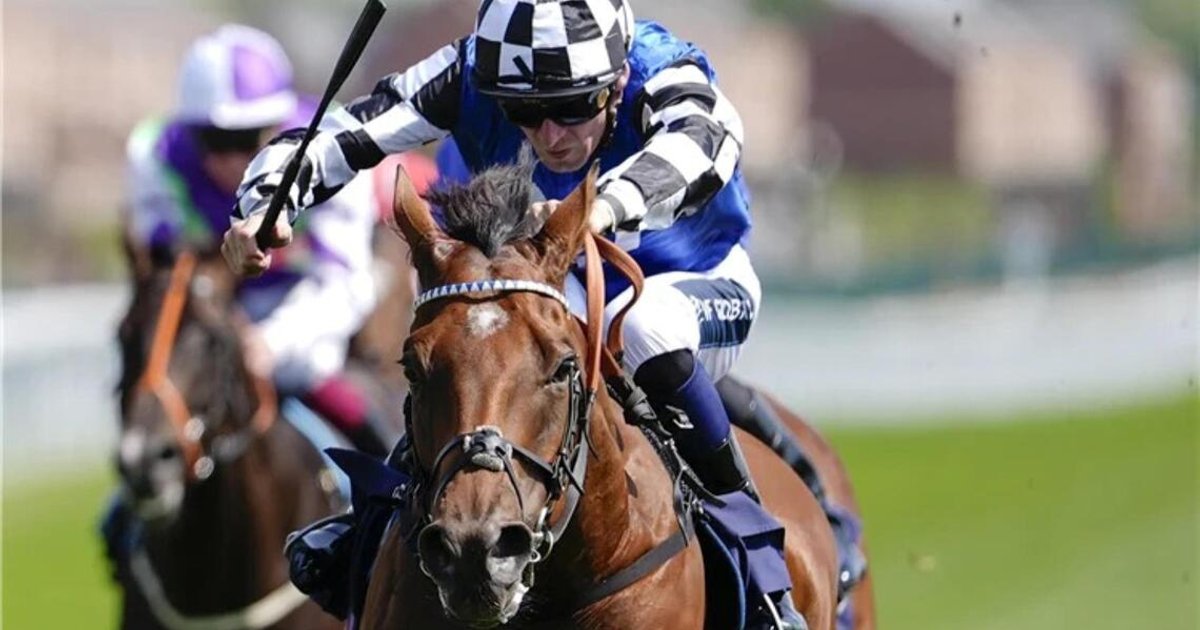 Lane backs Wine Dark Sea for Cup success despite challenging campaign