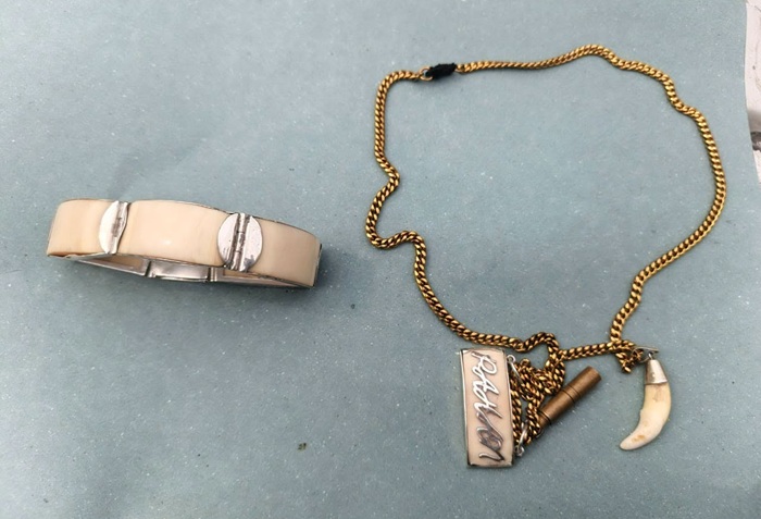 Two arrested in Matara for illegal ivory and wildlife ornament sales