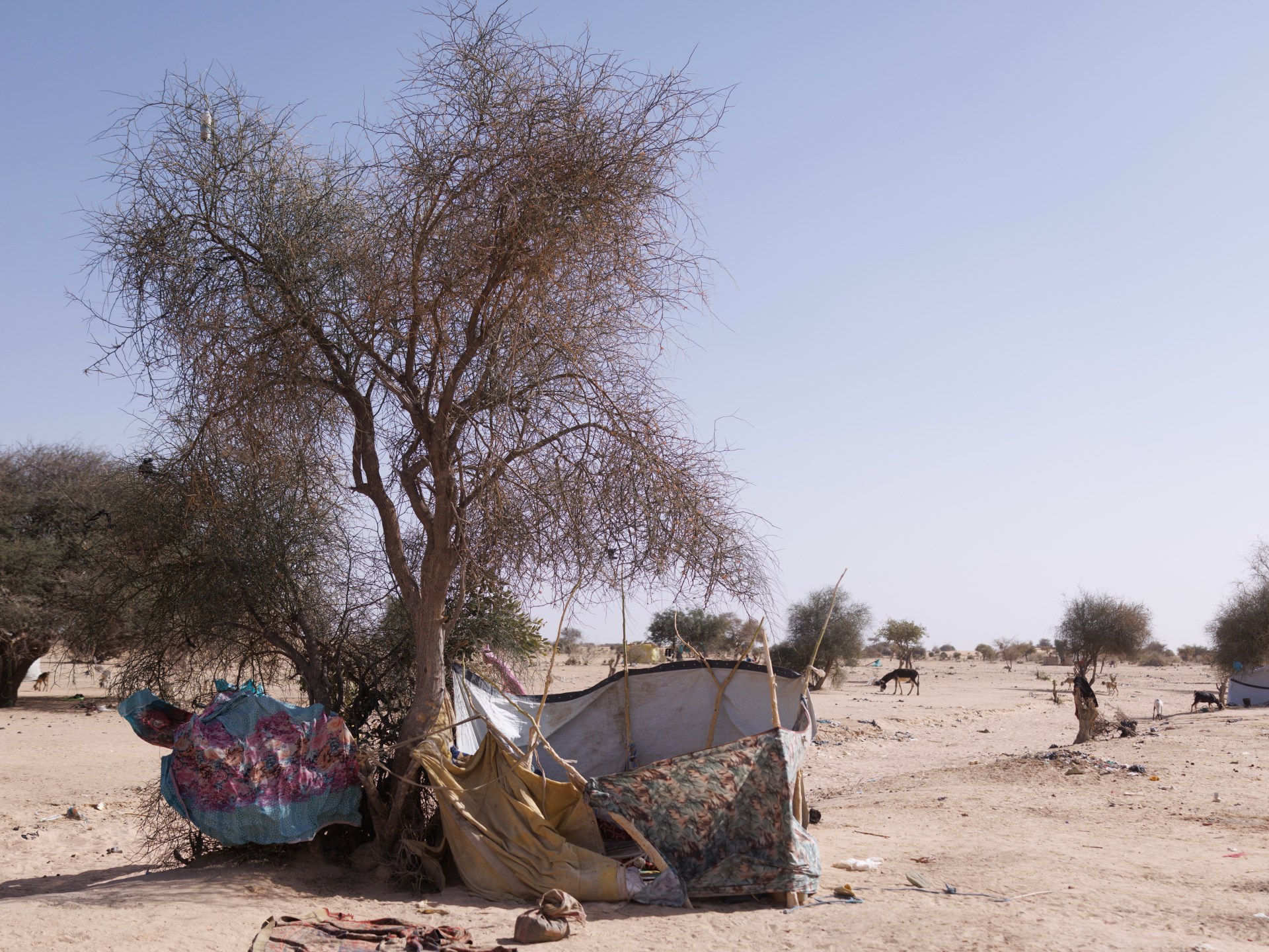 Chad blames Sudan for border air strike killing at least 12