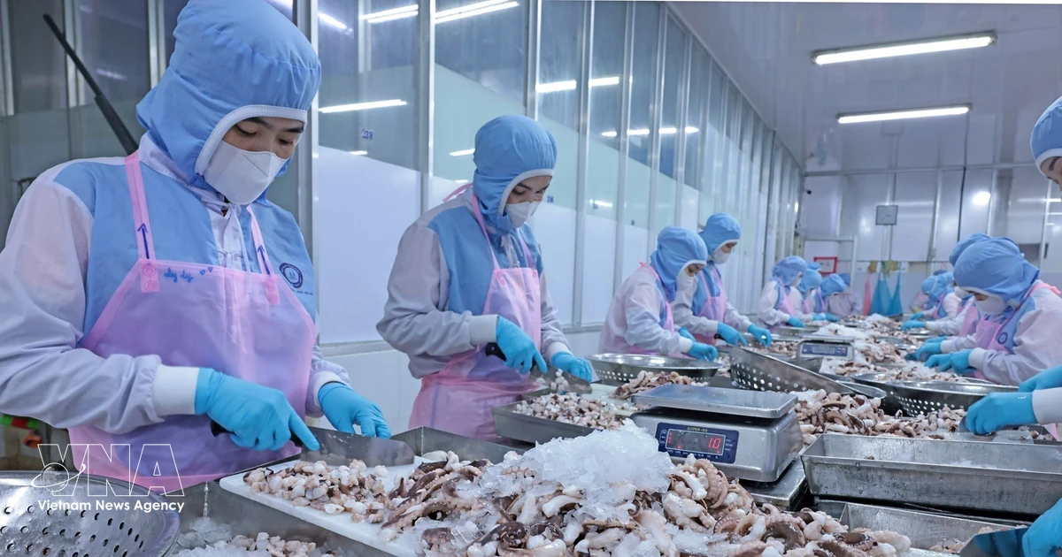 Vietnam's fishing industry targets 12 billion USD in exports despite cost pressures
