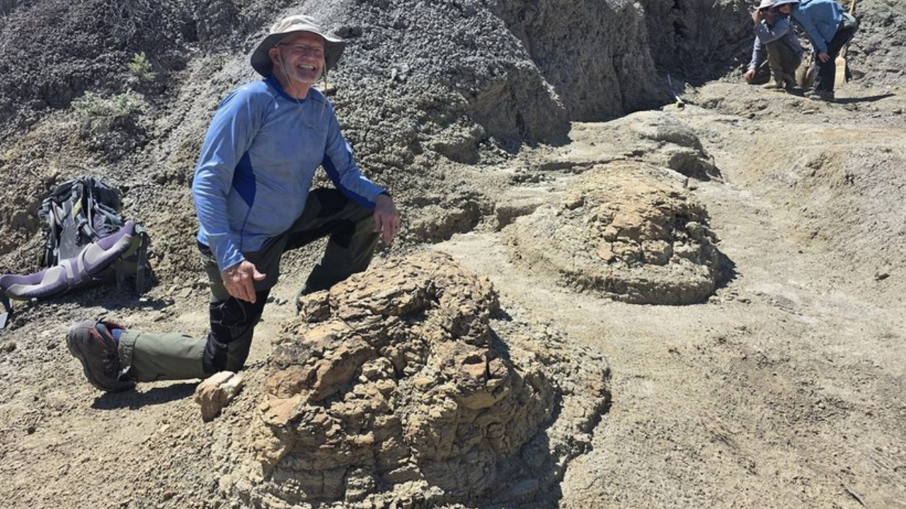 High school teacher uncovers rare T. rex trackway from 66.5 million years ago