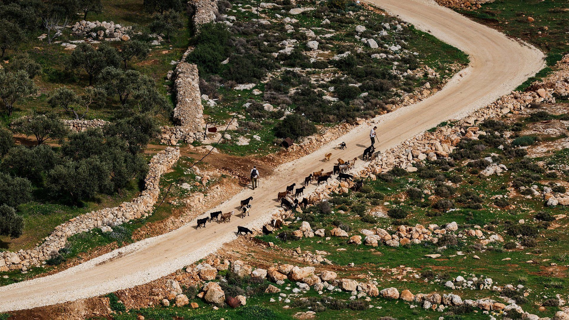 UK bans imports of goods from Israeli West Bank settlements