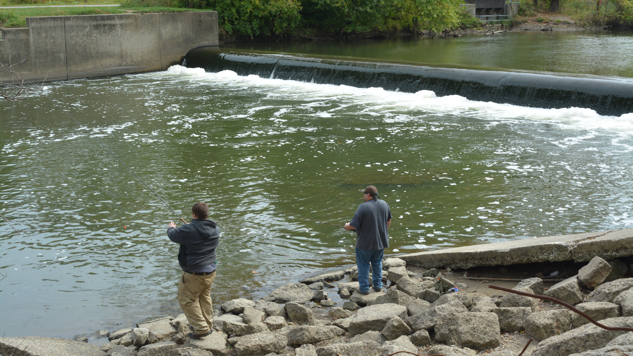 Dam removal doubles wetland habitat, draws millions of fish