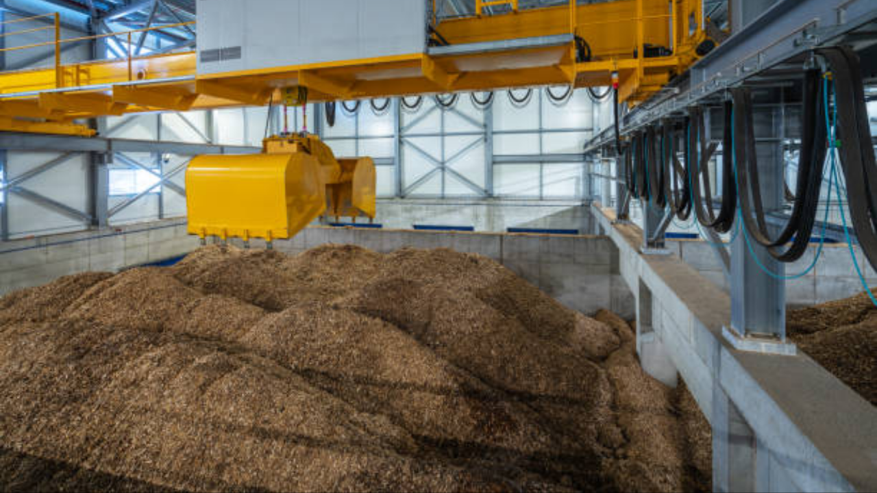 Canadian scientists develop biodegradable foam from wood waste to replace plastic