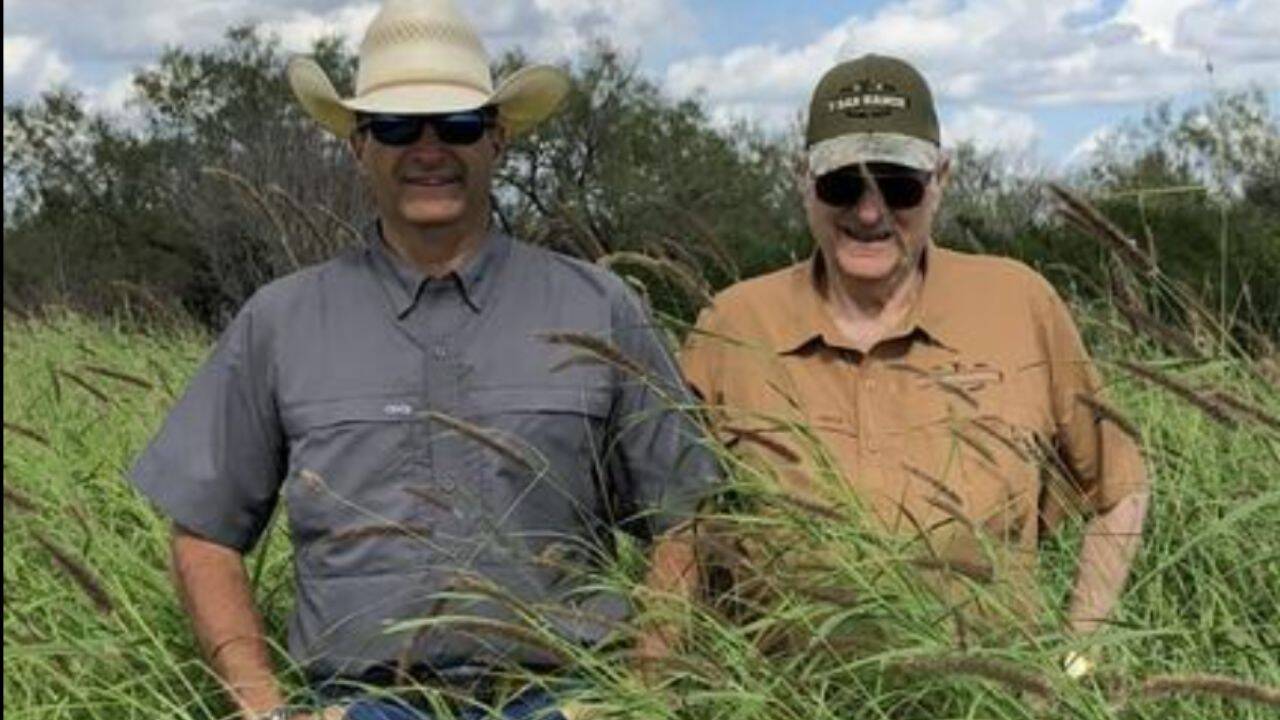 Texas ranchers restore degraded land, revive wildlife habitat