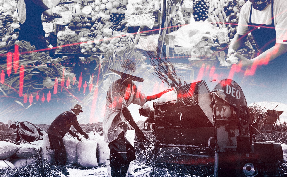 Philippine agriculture faces structural crisis beyond production concerns
