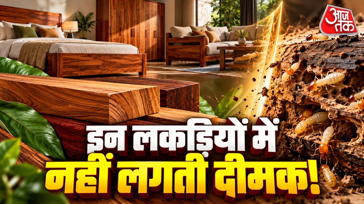 दीमक-रोधी लकड़ियां: फर्नीचर की लंबी उम्र का समाधान