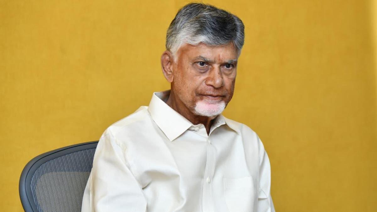 Andhra Pradesh CM orders rapid cyclone response: Clear debris, restore power quickly