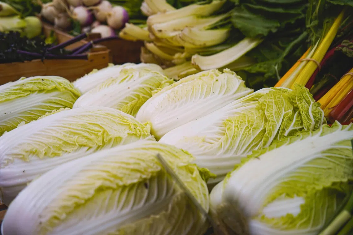 South Korea Bolsters Inspections of Chinese Cabbage Imports