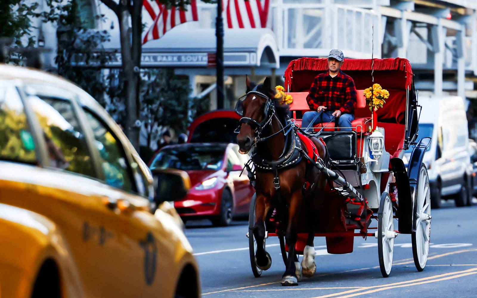 New York meluluskan larangan kereta kuda di Central Park selepas puluhan tahun perdebatan