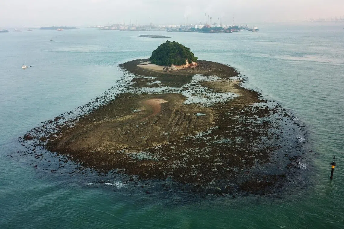 Singapore to chart marine ecosystem changes following island reclamation plans
