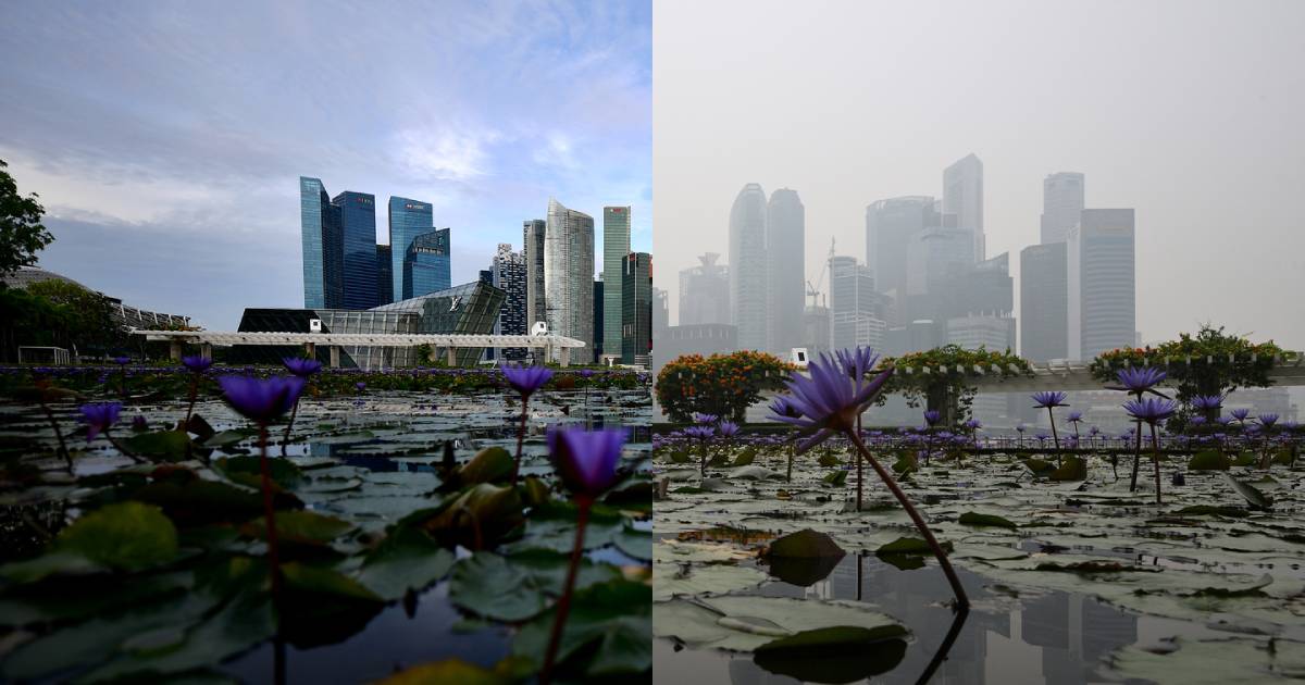 Singapore choked by hazardous haze as PSI hits very unhealthy levels