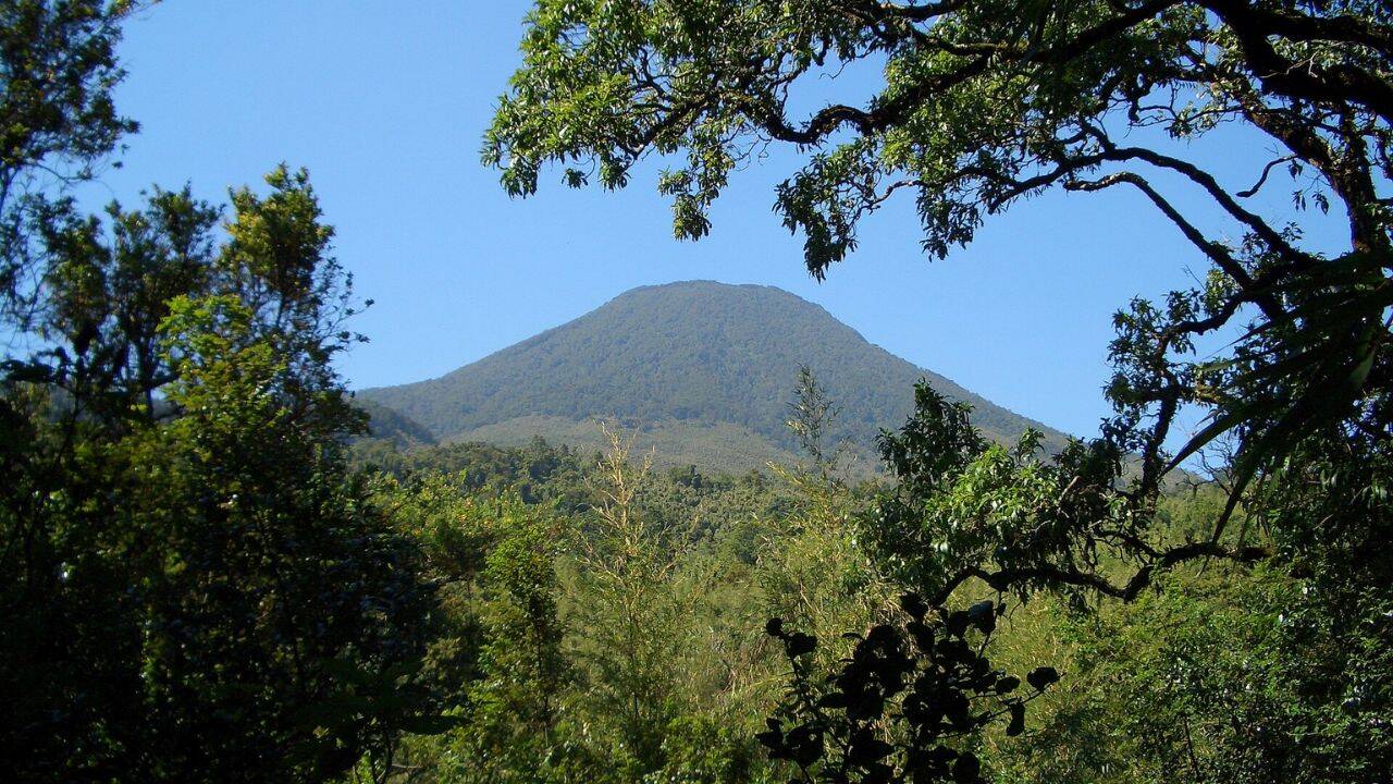 Uganda plants thousands of trees to restore wildlife sanctuary buffer