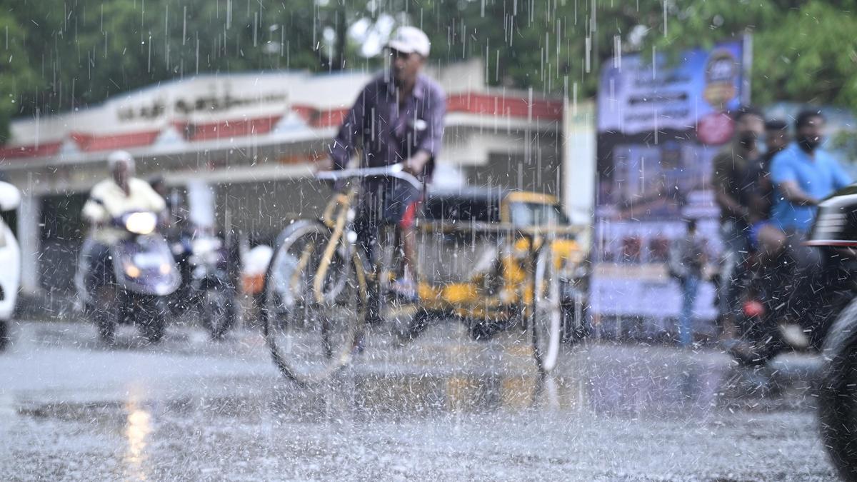 Vellore battered by sudden downpour; infrastructure damage reported