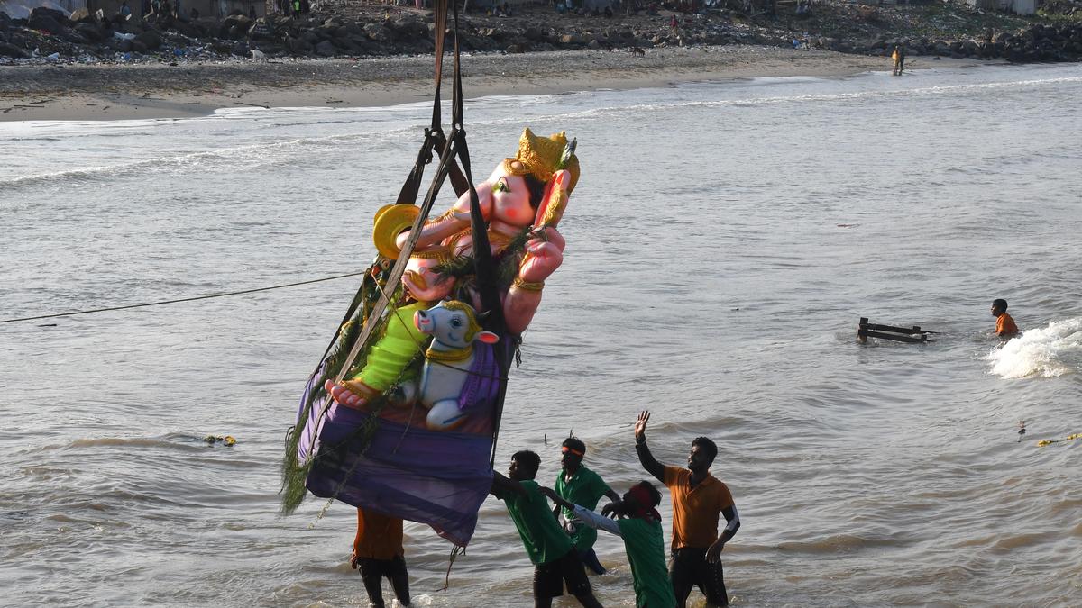 NGT presses Tamil Nadu on Vinayaka idol immersion guidelines compliance